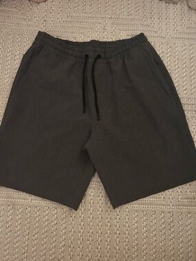 Stretchtech Sleek Chic Minimalist Classic Men's Sz S Grey Athleisure Shorts